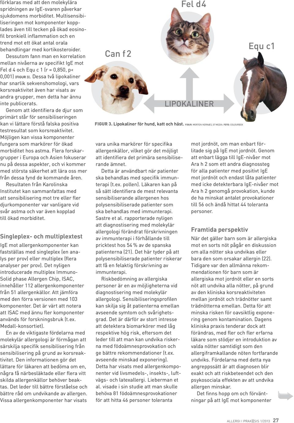 Dessutom fann man en korrelation mellan nivåerna av specifikt IgE mot Fel d 4 och Equ c 1 (r = 0,850, p< 0,001) (figur 3).