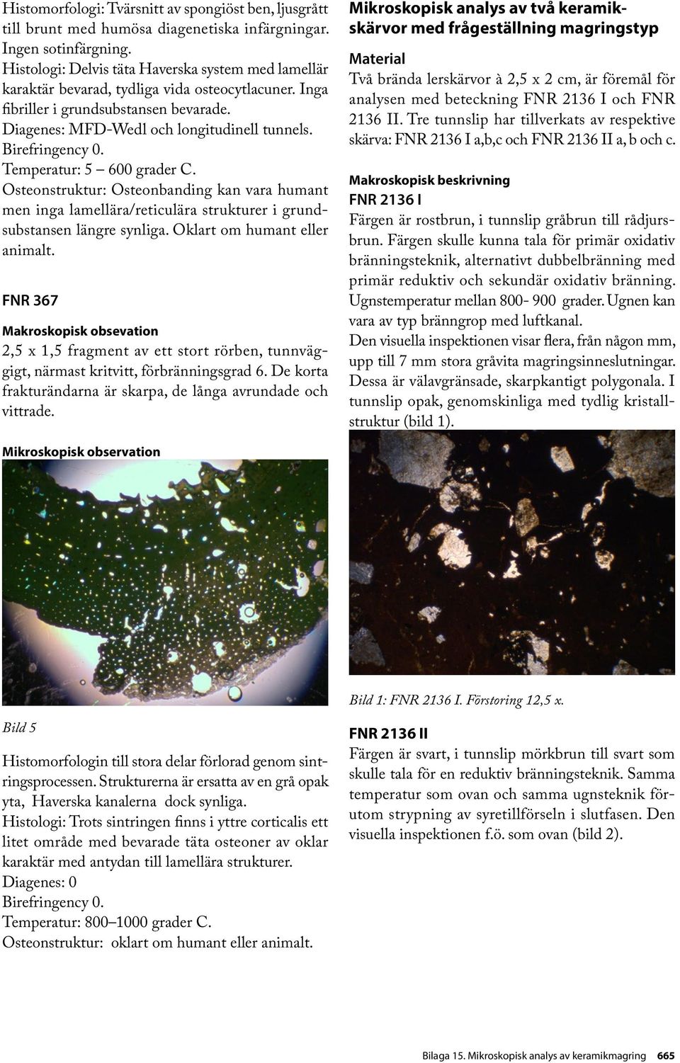 Birefringency 0. Temperatur: 5 600 grader C. Osteonstruktur: Osteonbanding kan vara humant men inga lamellära/reticulära strukturer i grundsubstansen längre synliga. Oklart om humant eller animalt.