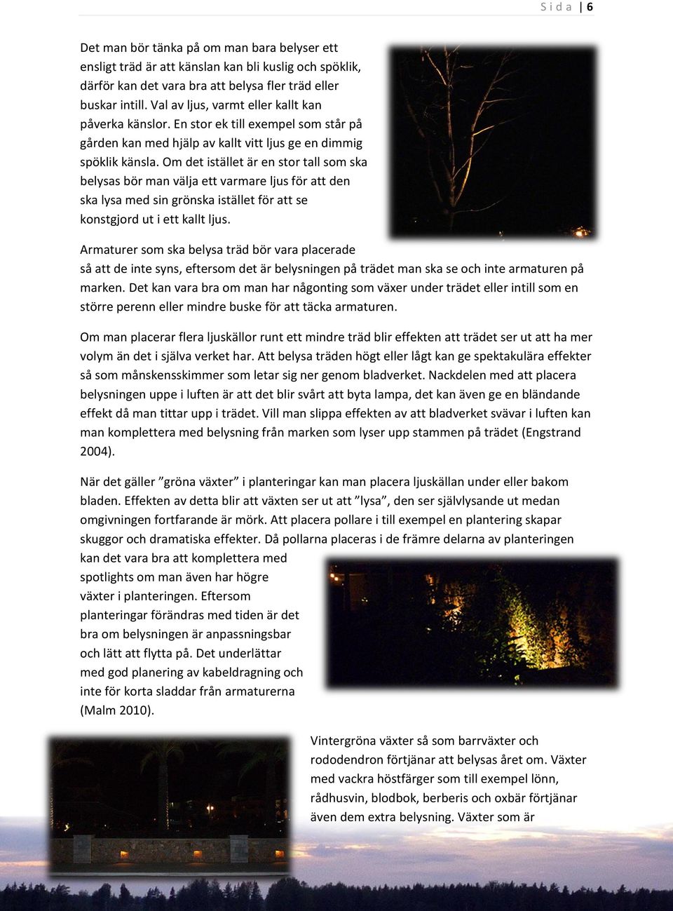 Om det istället är en stor tall som ska belysas bör man välja ett varmare ljus för att den ska lysa med sin grönska istället för att se konstgjord ut i ett kallt ljus.
