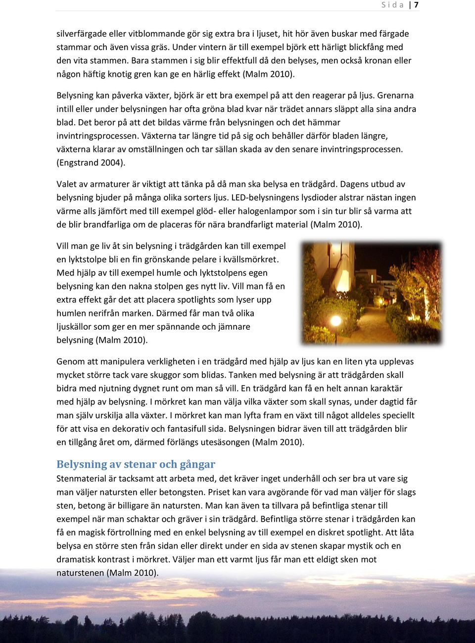 Bara stammen i sig blir effektfull då den belyses, men också kronan eller någon häftig knotig gren kan ge en härlig effekt (Malm 2010).