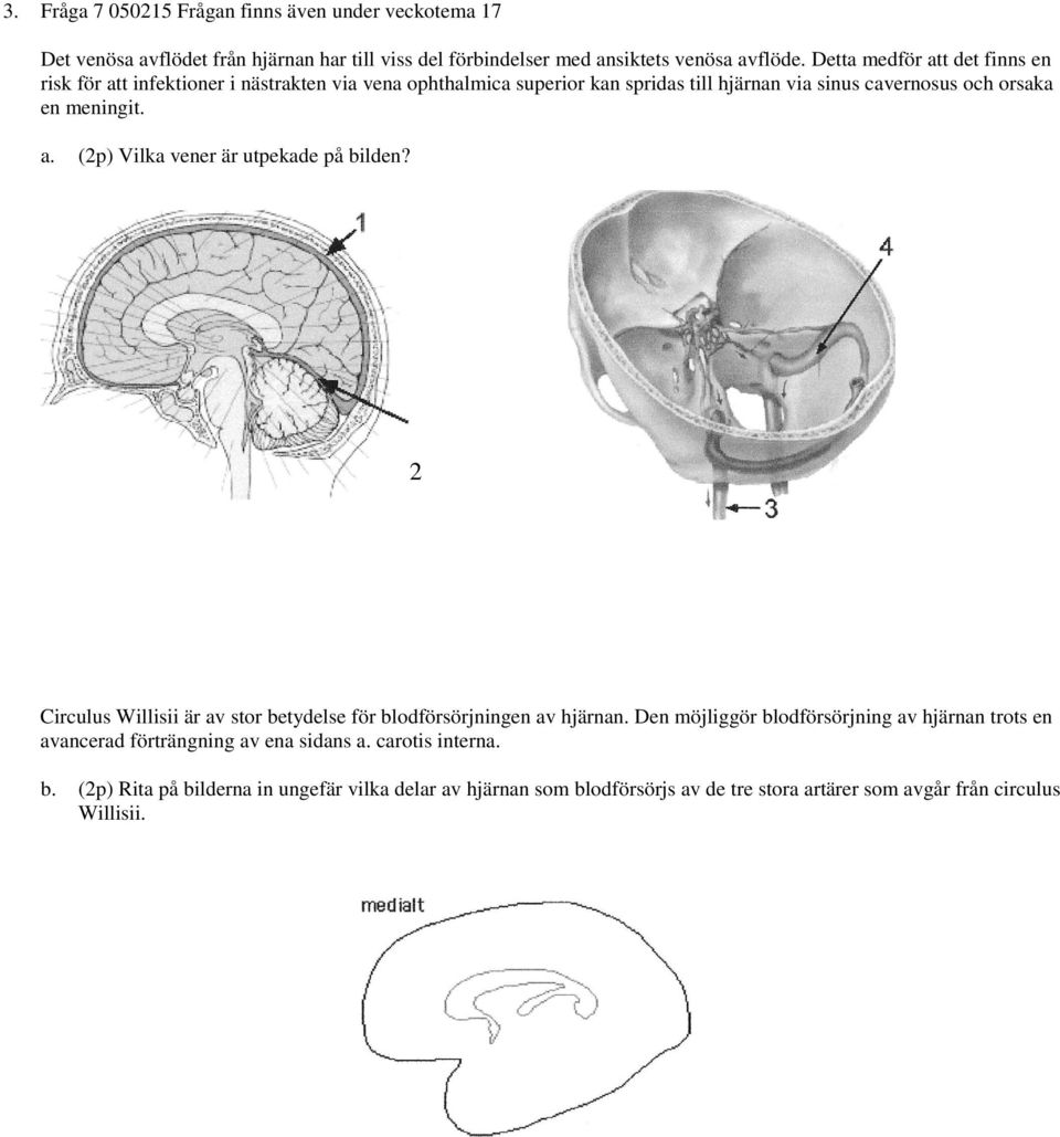 a. (2p) Vilka vener är utpekade på bilden? 2 Circulus Willisii är av stor betydelse för blodförsörjningen av hjärnan.