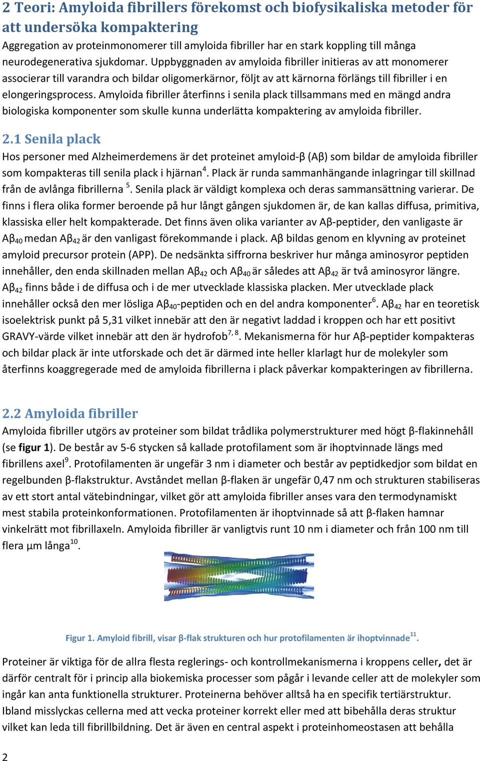 Uppbyggnaden av amyloida fibriller initieras av att monomerer associerar till varandra och bildar oligomerkärnor, följt av att kärnorna förlängs till fibriller i en elongeringsprocess.