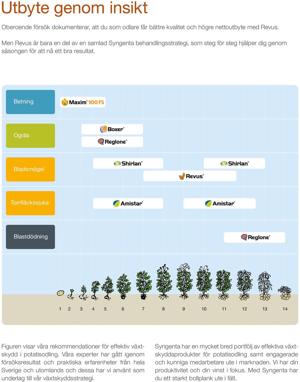 Betning Ogräs Bladsmögel Torrfläckssjuka Blastdödning 1 2 3 4 5 6 7 8 9 10 11 12 13 14 Figuren visar våra rekommendationer för effektiv växtskydd i potatisodling.