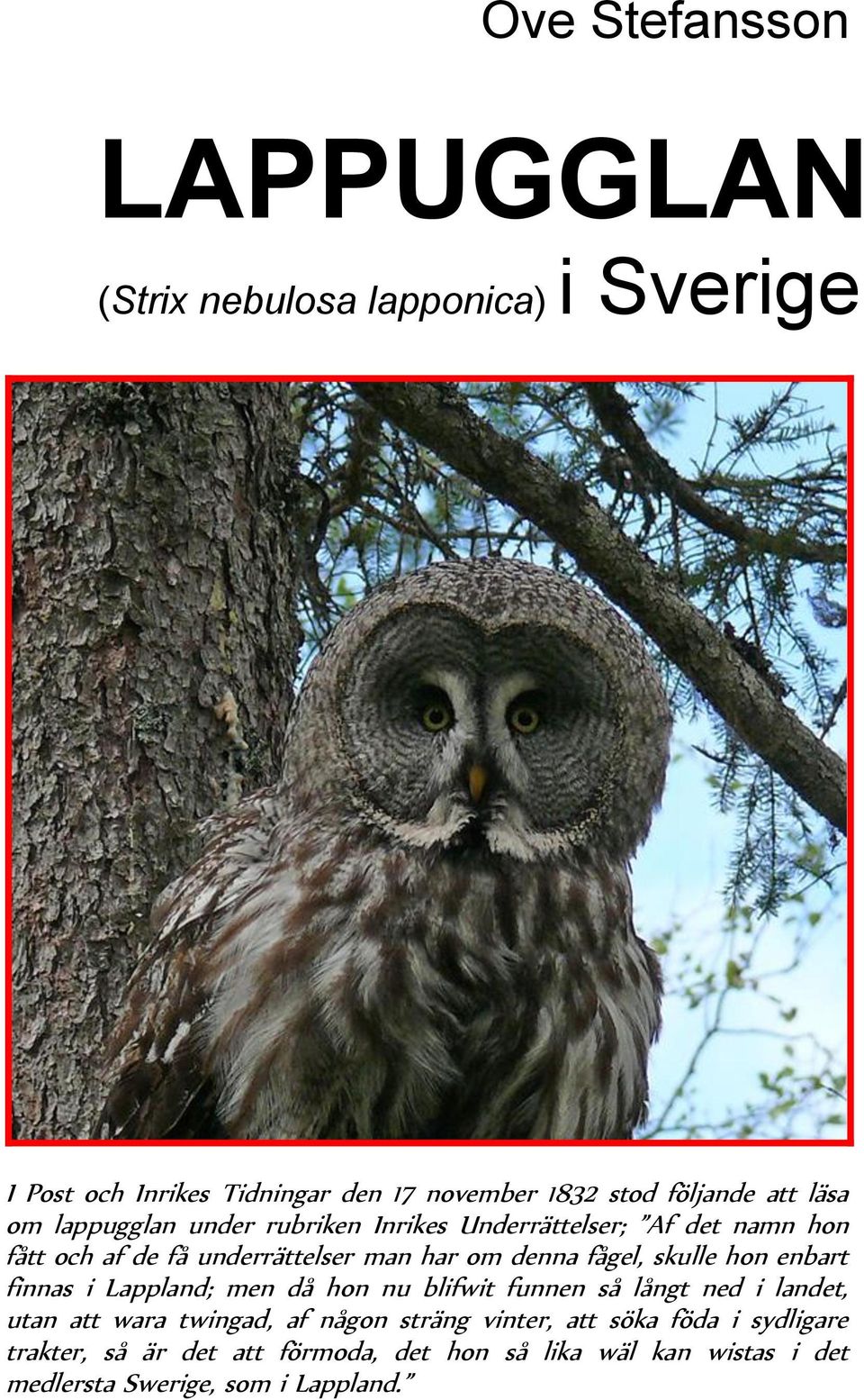 skulle hon enbart finnas i Lappland; men då hon nu blifwit funnen så långt ned i landet, utan att wara twingad, af någon sträng