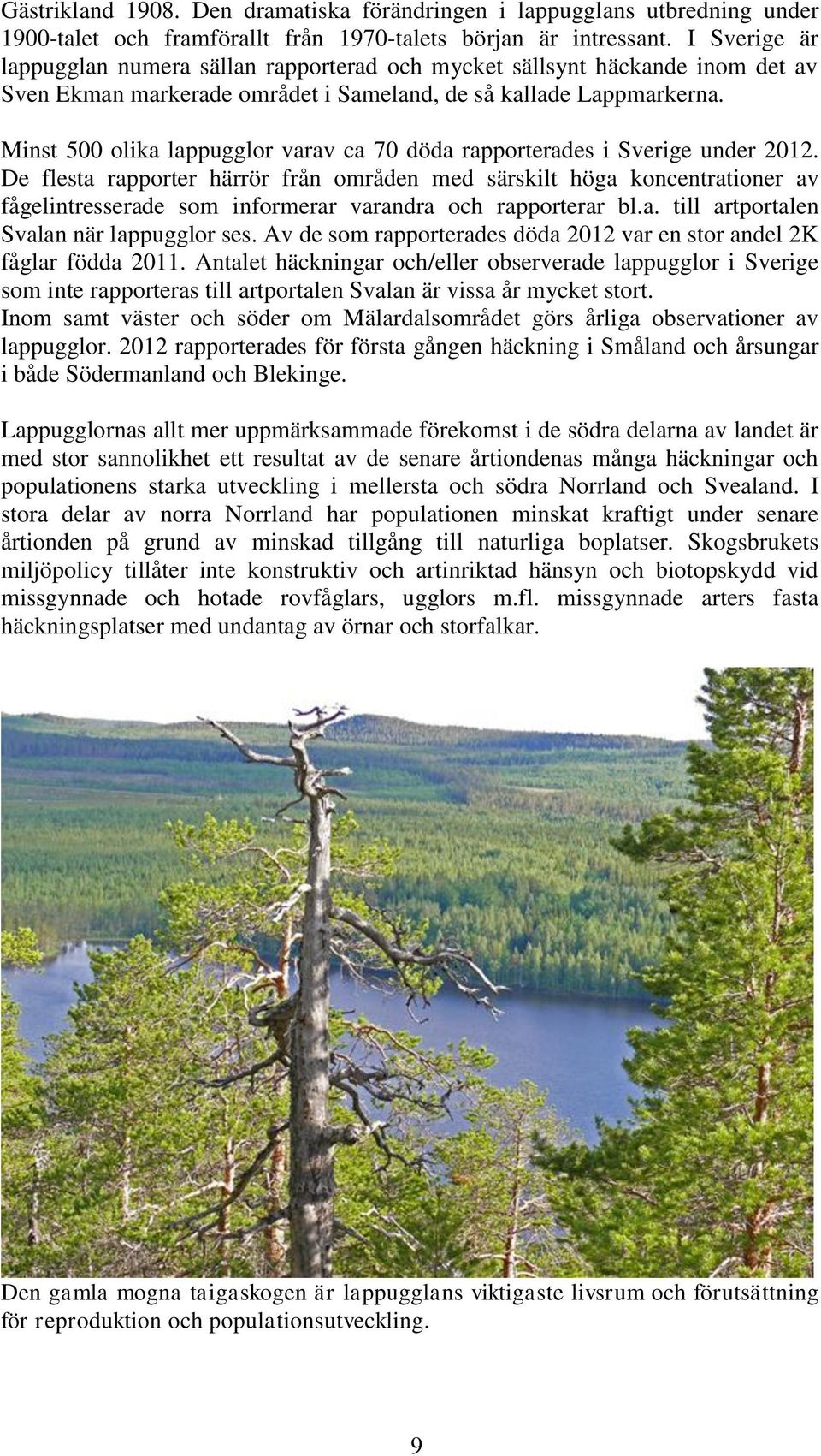 Minst 500 olika lappugglor varav ca 70 döda rapporterades i Sverige under 2012.