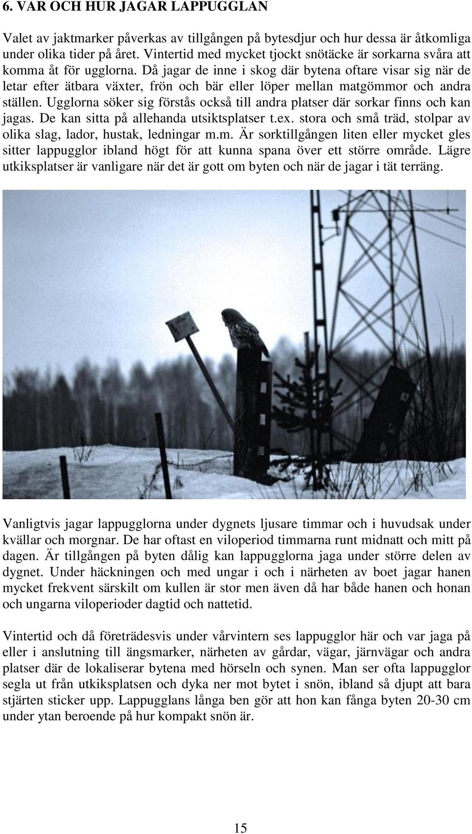 Då jagar de inne i skog där bytena oftare visar sig när de letar efter ätbara växter, frön och bär eller löper mellan matgömmor och andra ställen.