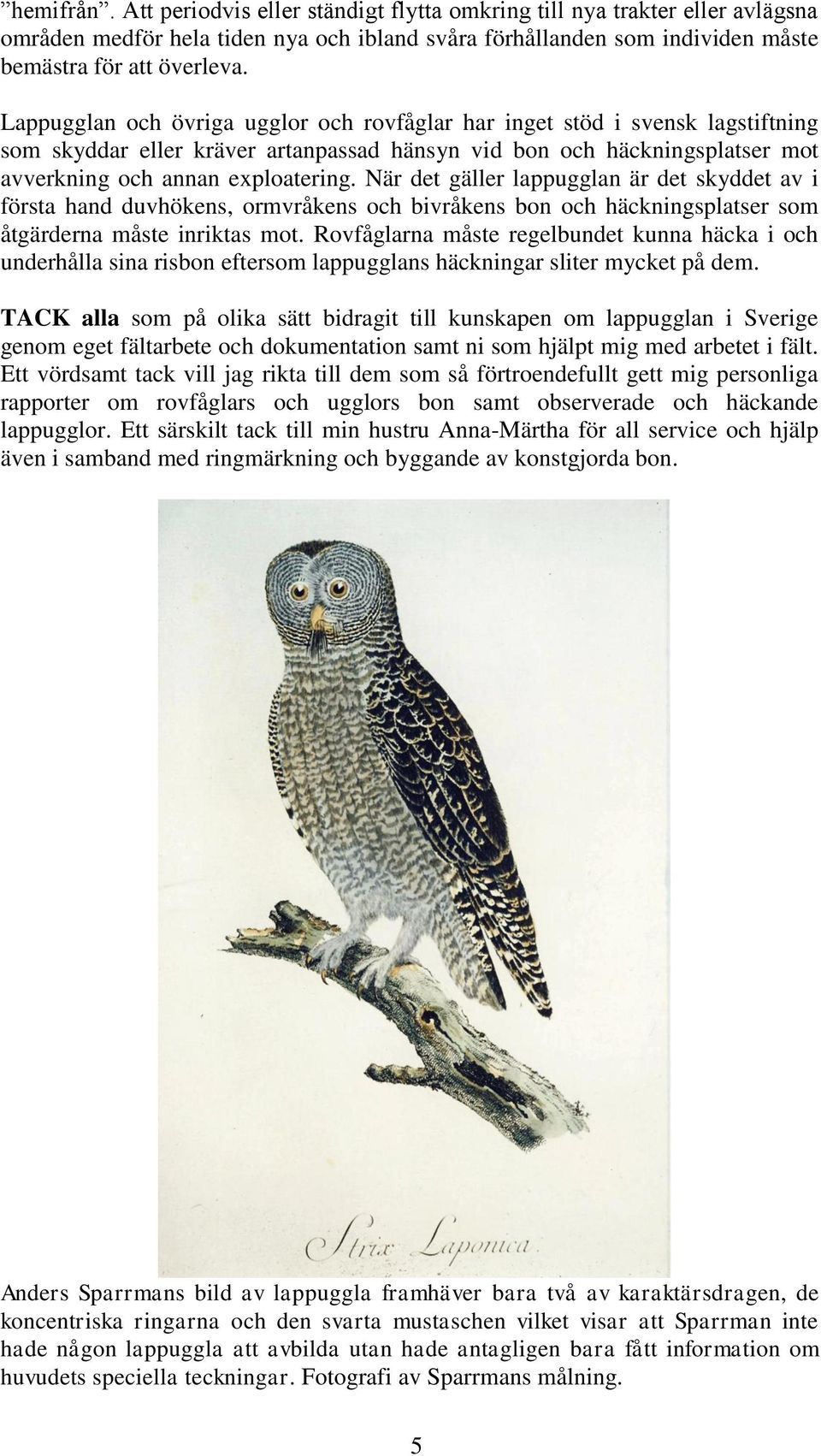 När det gäller lappugglan är det skyddet av i första hand duvhökens, ormvråkens och bivråkens bon och häckningsplatser som åtgärderna måste inriktas mot.