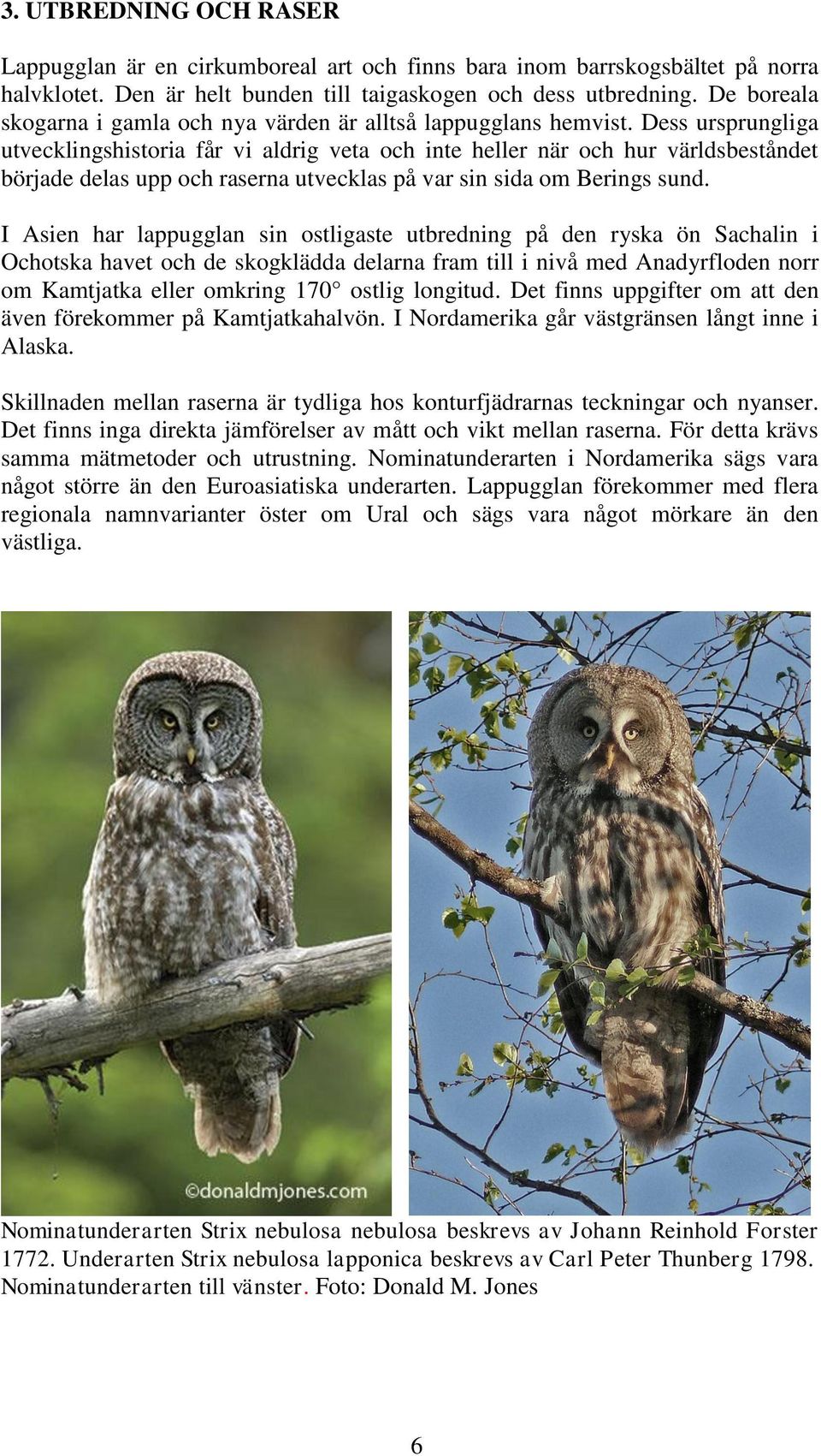 Dess ursprungliga utvecklingshistoria får vi aldrig veta och inte heller när och hur världsbeståndet började delas upp och raserna utvecklas på var sin sida om Berings sund.