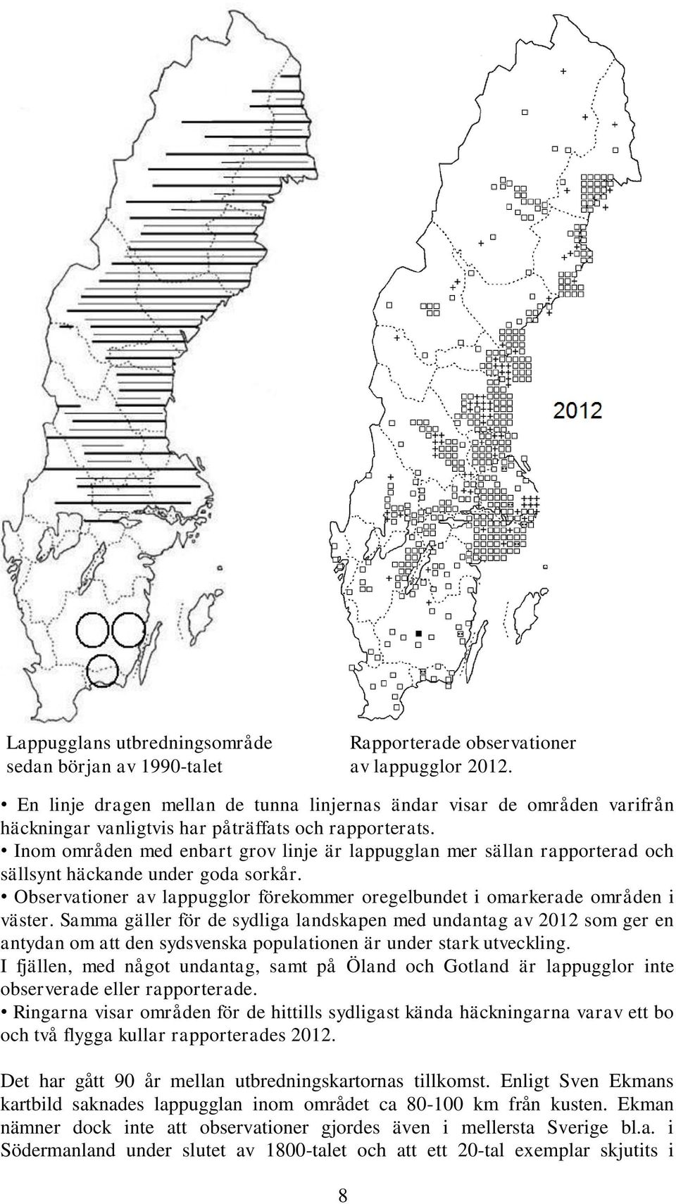 Inom områden med enbart grov linje är lappugglan mer sällan rapporterad och sällsynt häckande under goda sorkår. Observationer av lappugglor förekommer oregelbundet i omarkerade områden i väster.