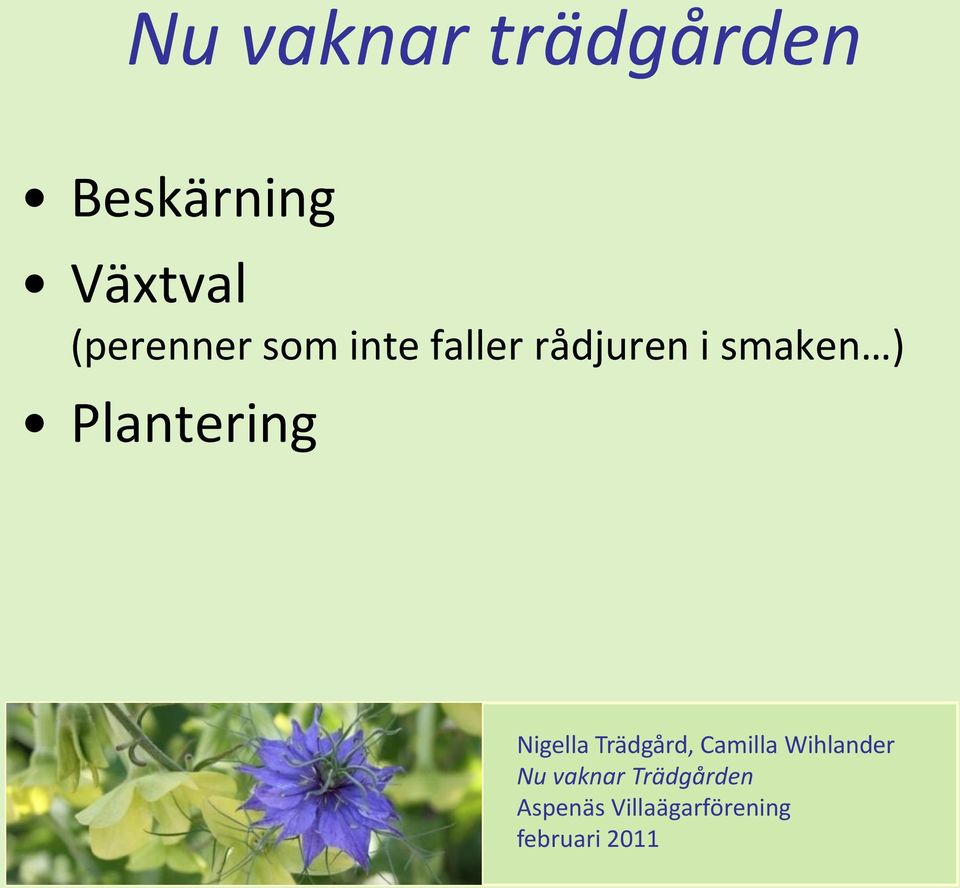 Plantering Nigella Trädgård, Camilla Wihlander
