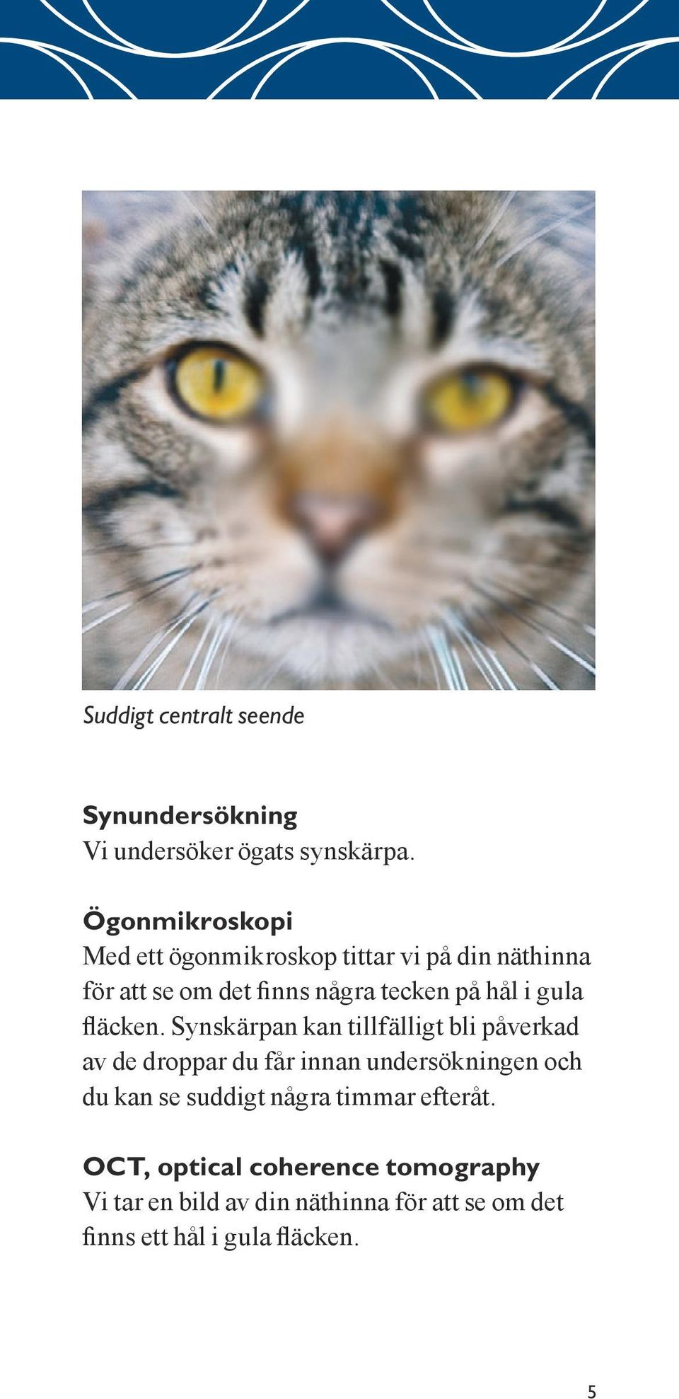 gula fläcken.