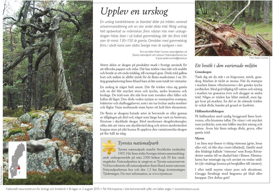 Områden med gammelskog finns i såväl norra som södra Sverige men är vanligare i norr.