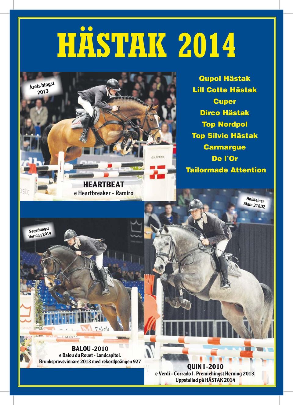 Stam 318D2 Segerhingst Herning 2014 BALOU -2010 e Balou du Rouet - Landcapitol.