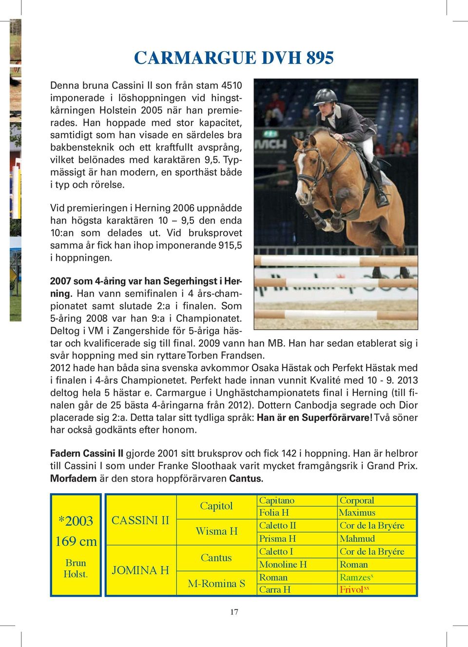 Typmässigt är han modern, en sporthäst både i typ och rörelse. Vid premieringen i Herning 2006 uppnådde han högsta karaktären 10 9,5 den enda 10:an som delades ut.