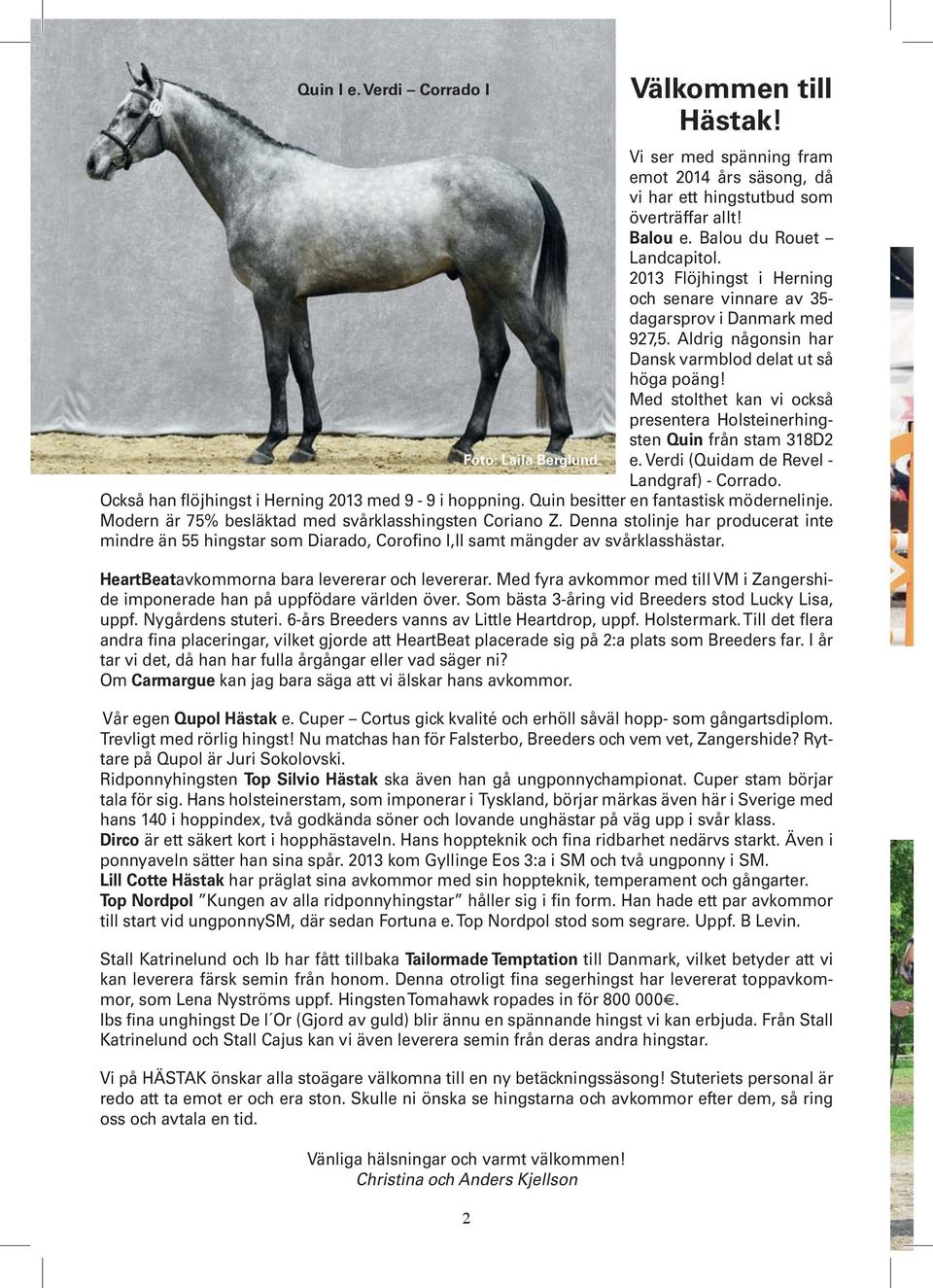 Med stolthet kan vi också presentera Holsteinerhingsten Quin från stam 318D2 Foto: Laila Berglund. e. Verdi (Quidam de Revel - Landgraf) - Corrado.