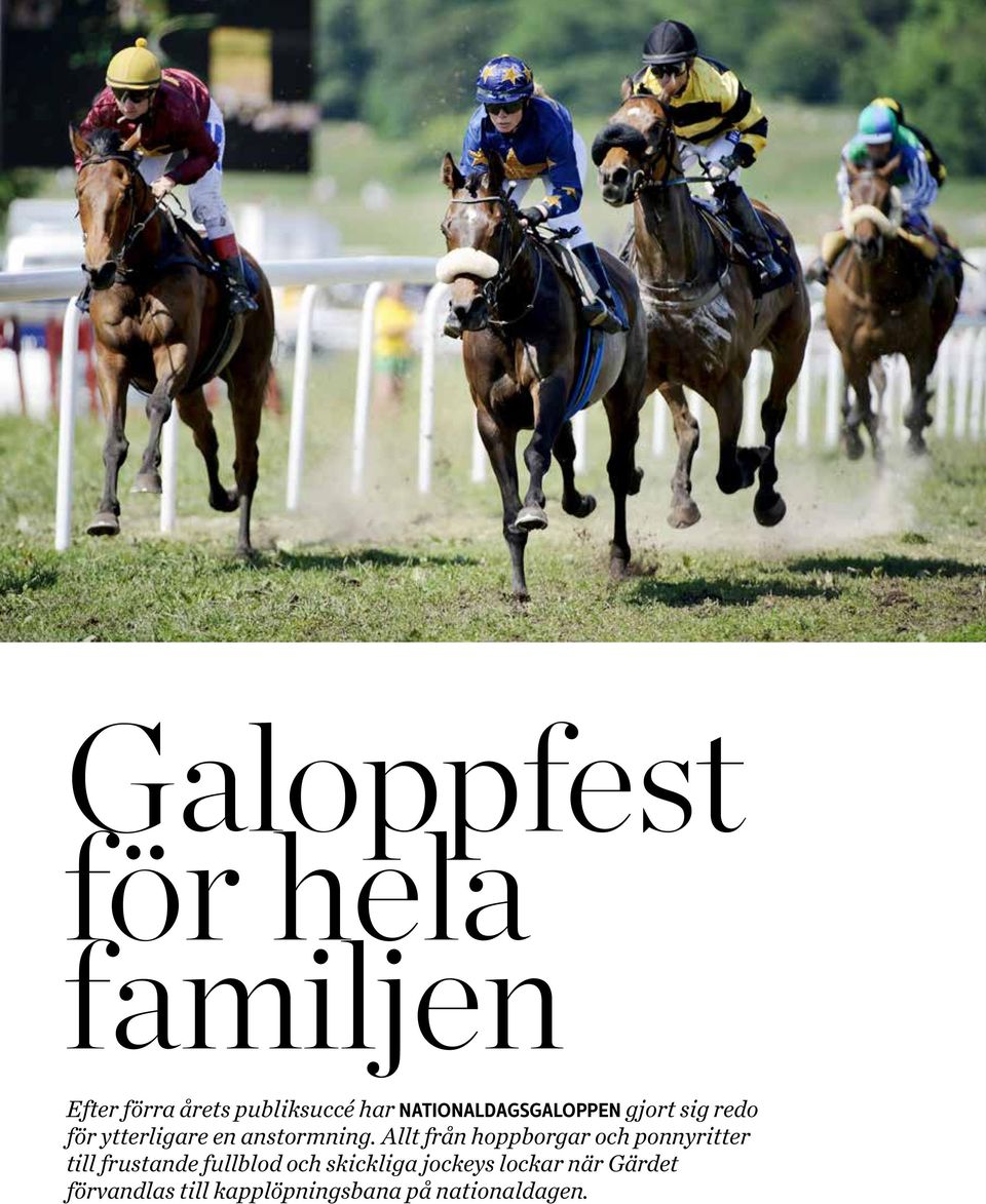 Allt från hoppborgar och ponnyritter till frustande fullblod och