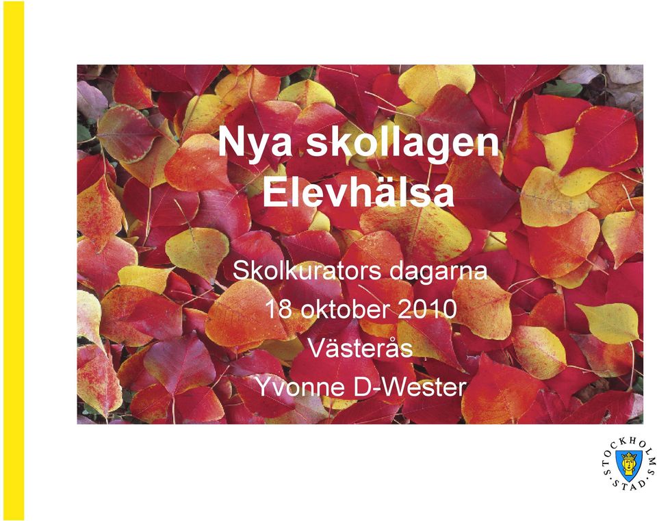 Skolkurators dagarna