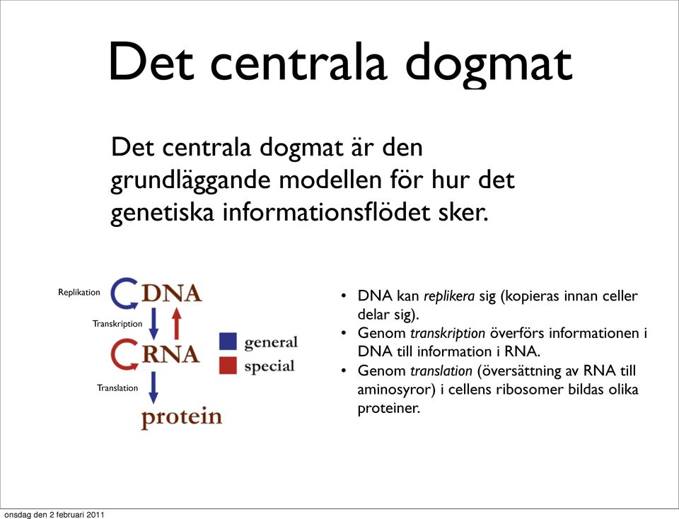 Replikation Transkription Translation DNA kan replikera sig (kopieras innan celler delar sig).