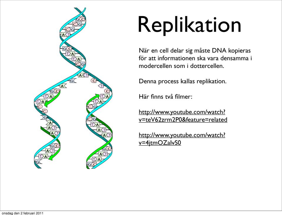 Denna process kallas replikation. Här finns två filmer: http://www.