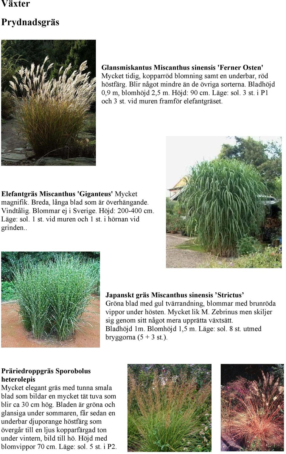 Vindtålig. Blommar ej i Sverige. Höjd: 200-400 cm. Läge: sol. 1 st. vid muren och 1 st. i hörnan vid grinden.