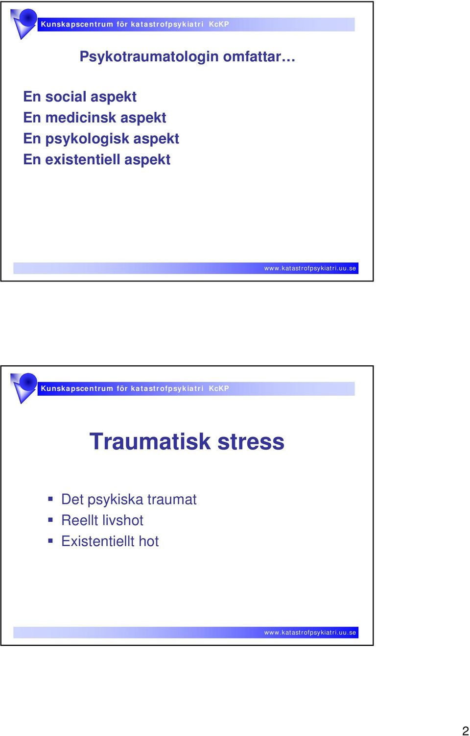 existentiell aspekt Traumatisk stress Det