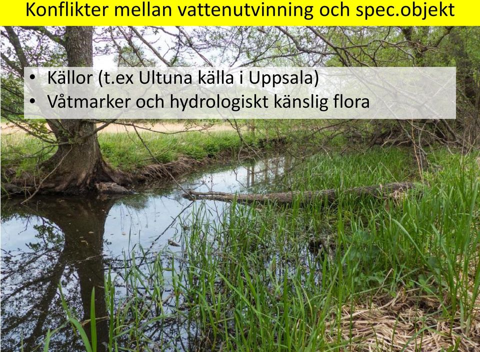 objekt Källor (t.