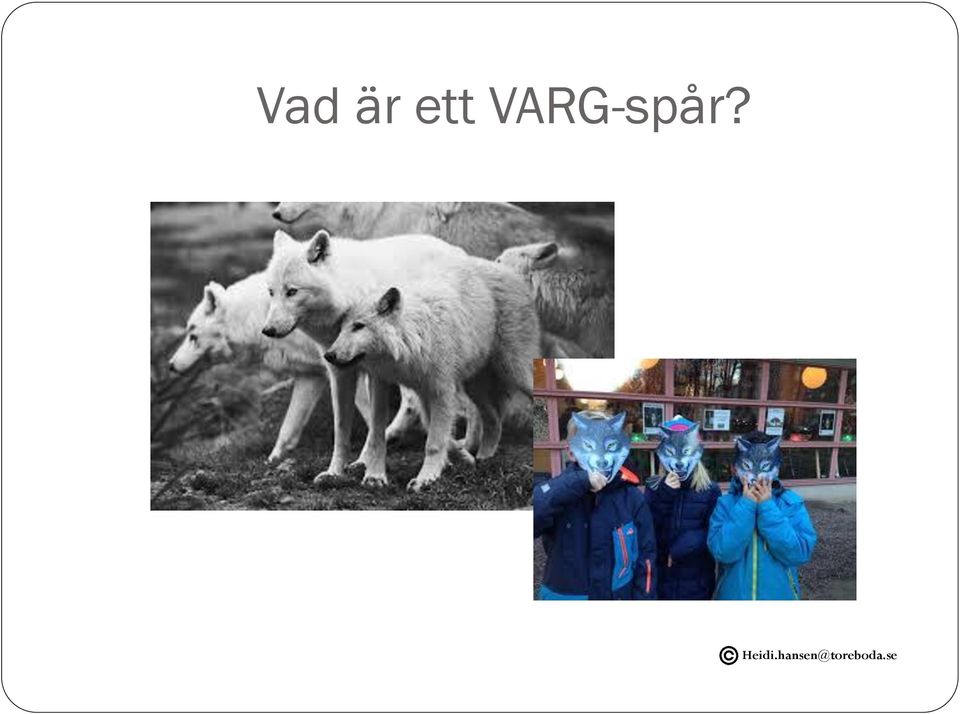 VARG-spår?