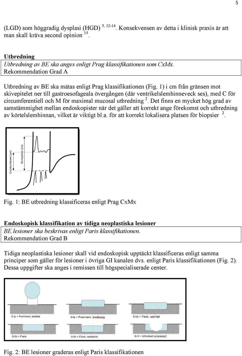 1) i cm från gränsen mot skivepitelet ner till gastroesofageala övergången (där ventrikelslemhinneveck ses), med C för circumferentiell och M för maximal mucosal utbredning 2.