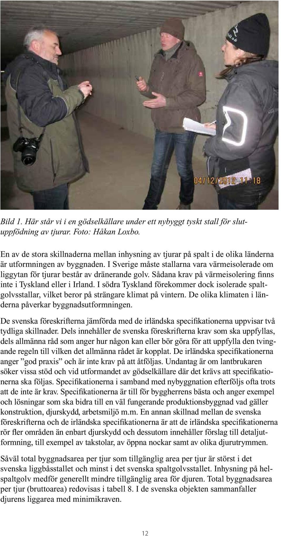 I Sverige måste stallarna vara värmeisolerade om liggytan för tjurar består av dränerande golv. Sådana krav på värmeisolering finns inte i Tyskland eller i Irland.