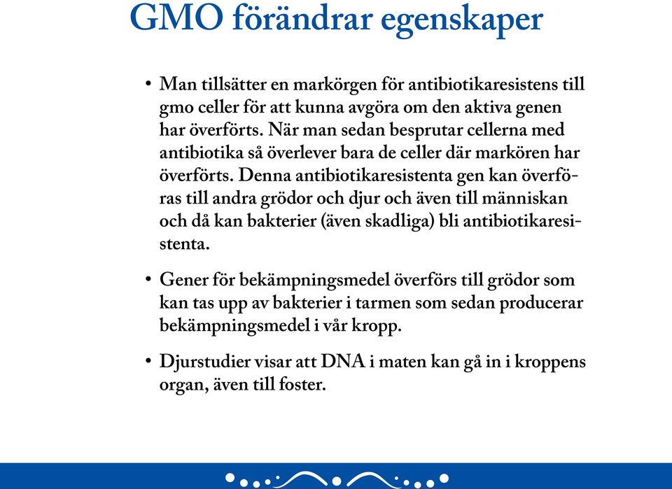Denna antibiotikaresistenta gen kan överföras till andra grödor och djur och även till människan och då kan bakterier (även skadliga) bli