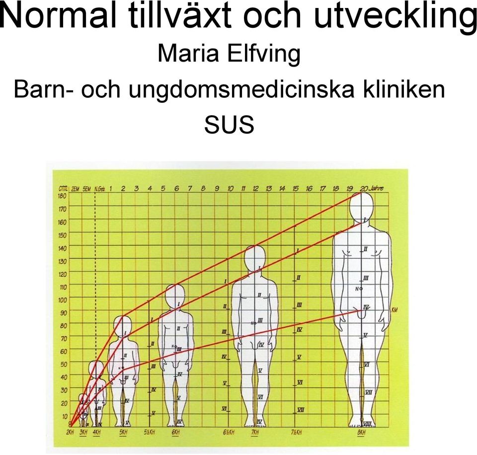 Elfving Barn- och