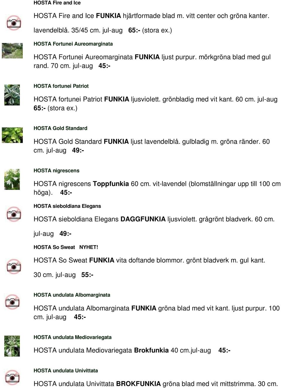 grönbladig med vit kant. 60 cm. jul-aug 65:- (stora ex.) HOSTA Gold Standard HOSTA Gold Standard FUNKIA ljust lavendelblå. gulbladig m. gröna ränder. 60 cm. jul-aug 49:- HOSTA nigrescens HOSTA nigrescens Toppfunkia 60 cm.