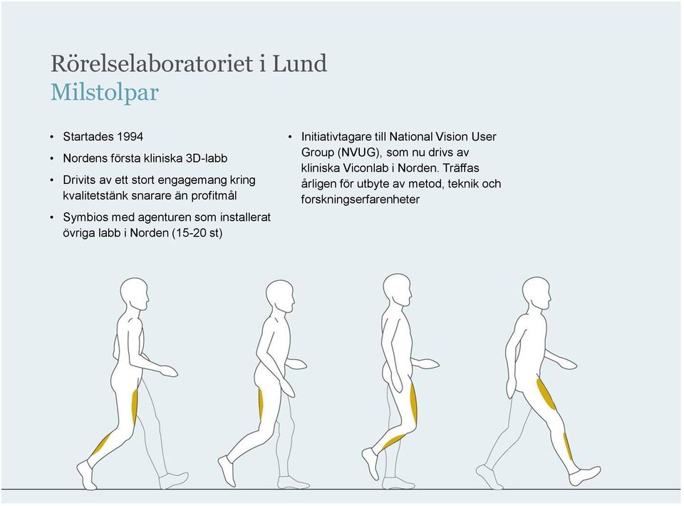 övriga labb i Norden (15-20 st) Initiativtagare till National Vision User Group (NVUG), som nu