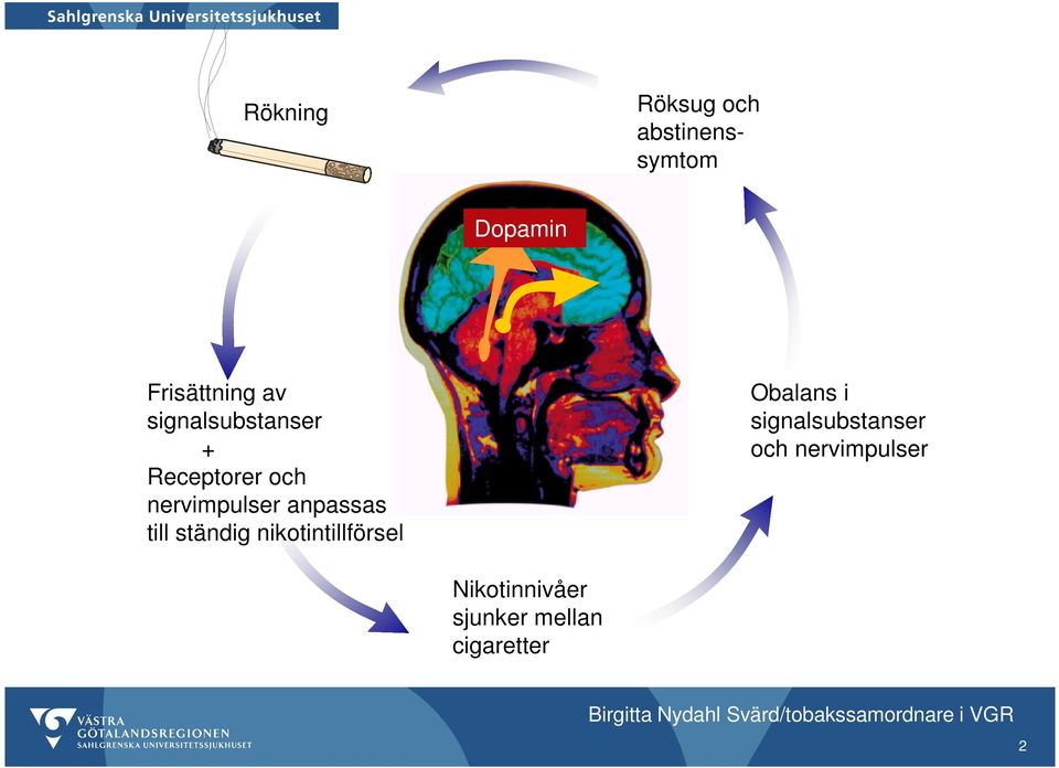 till ständig nikotintillförsel Obalans i signalsubstanser