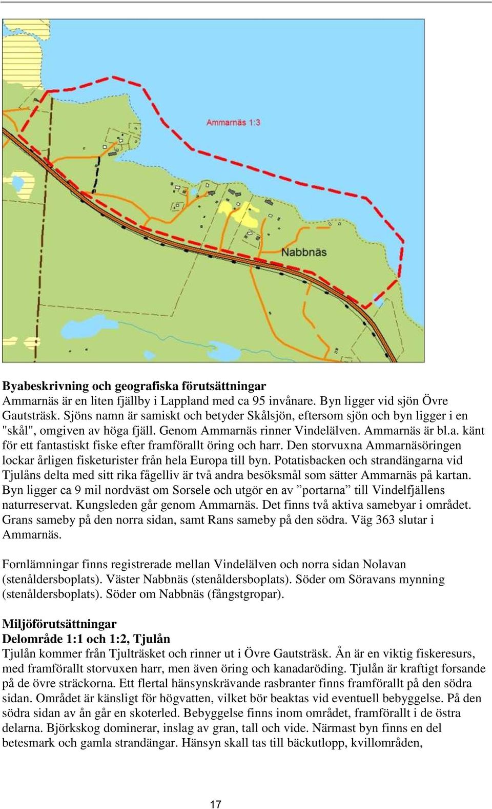 Den storvuxna Ammarnäsöringen lockar årligen fisketurister från hela Europa till byn.
