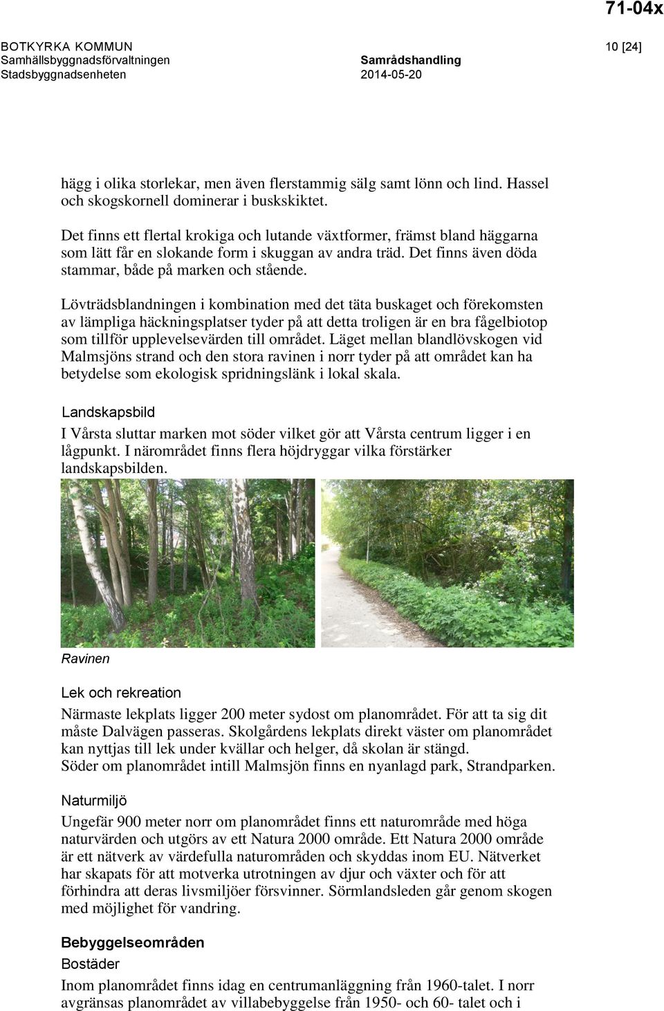 Det finns även döda stammar, både på marken och stående.