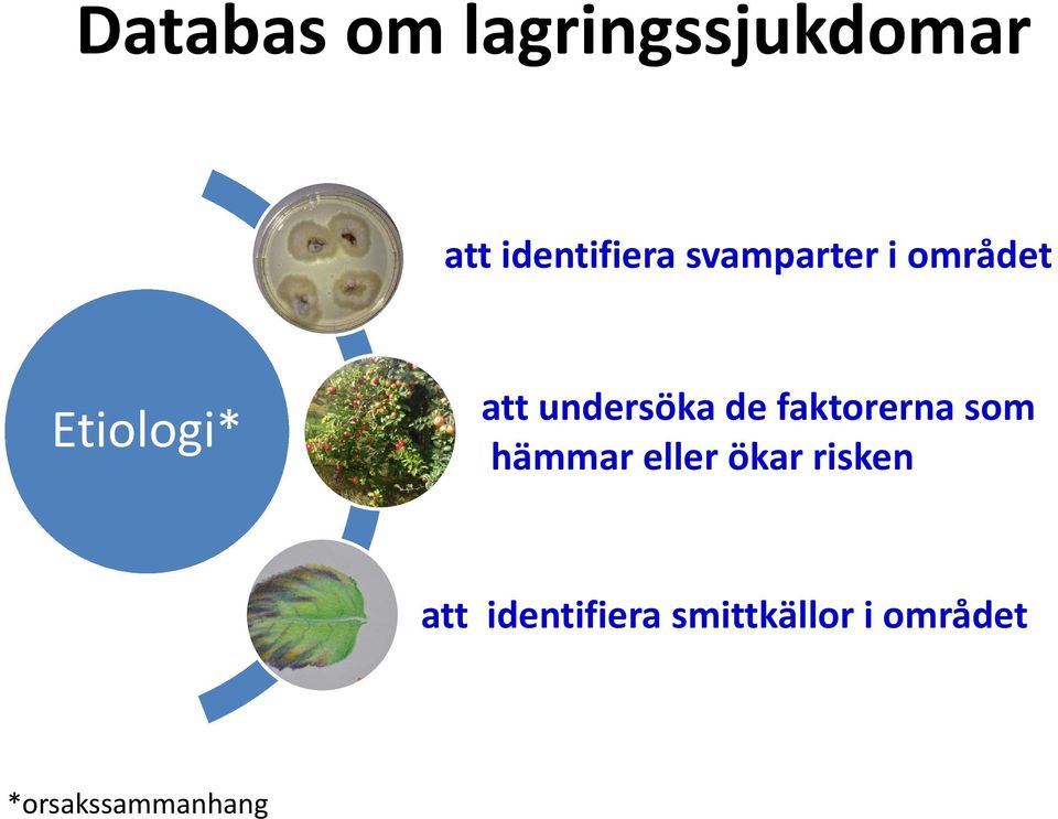 de faktorerna som hämmar eller ökar risken att