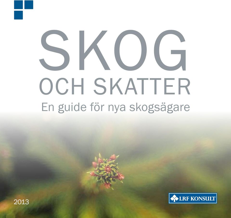 guide för