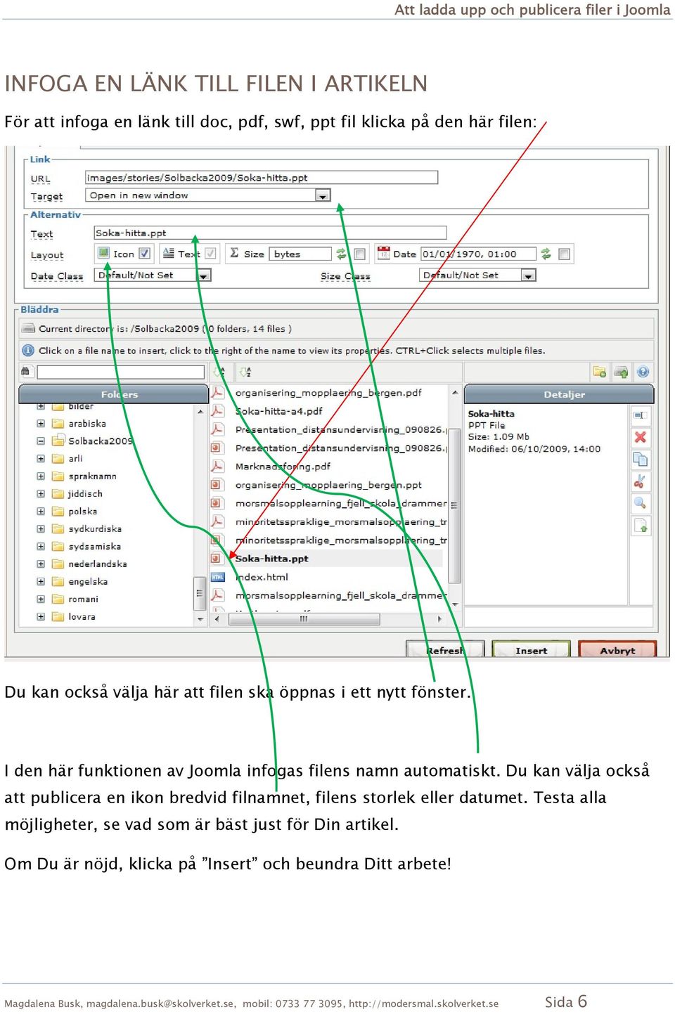 Du kan välja också att publicera en ikon bredvid filnamnet, filens storlek eller datumet.