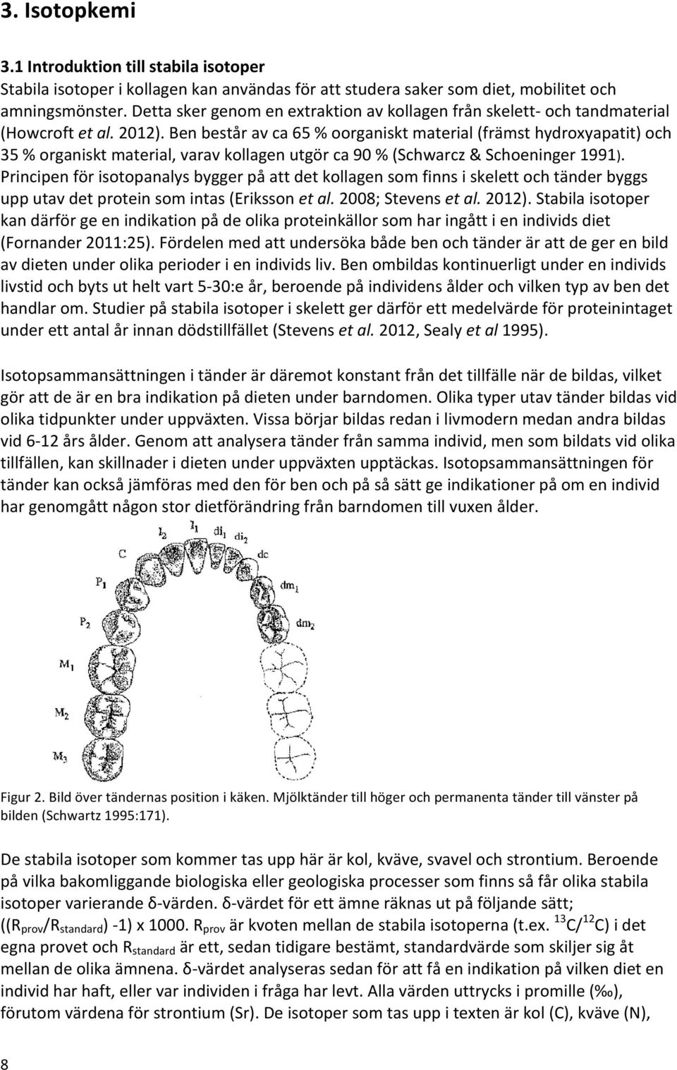 Ben består av ca 65 % oorganiskt material (främst hydroxyapatit) och 35 % organiskt material, varav kollagen utgör ca 90 % (Schwarcz & Schoeninger 1991).