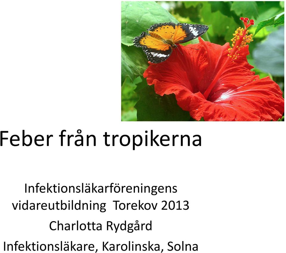 vidareutbildning Torekov 2013
