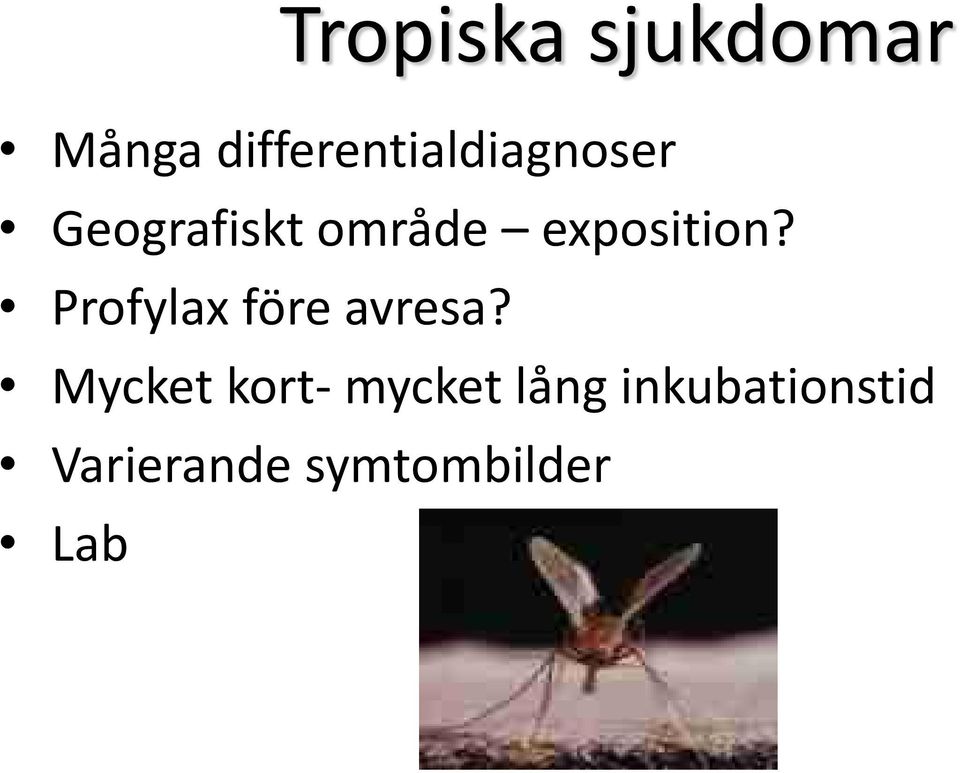exposition? Profylax före avresa?