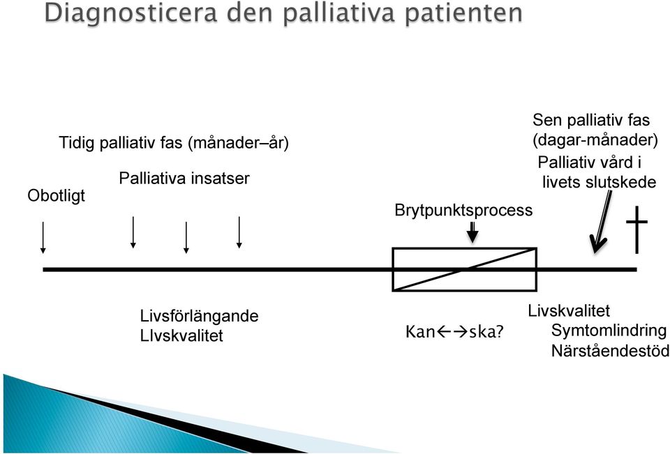 (dagar-månader) Palliativ vård i livets slutskede