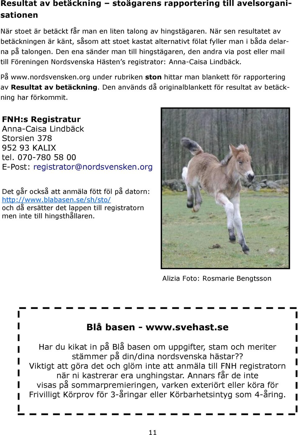 Den ena sänder man till hingstägaren, den andra via post eller mail till Föreningen Nordsvenska Hästen s registrator: Anna-Caisa Lindbäck. På www.nordsvensken.