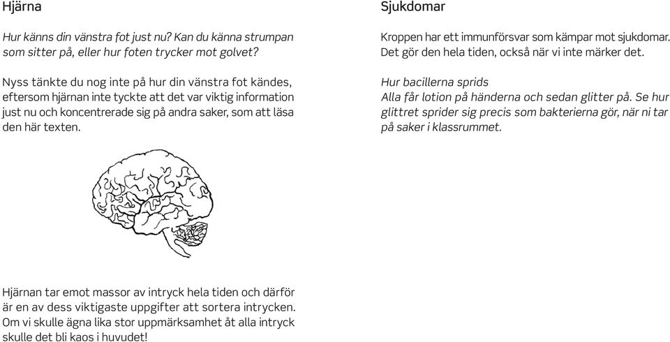 Sjukdomar Kroppen har ett immunförsvar som kämpar mot sjukdomar. Det gör den hela tiden, också när vi inte märker det. Hur bacillerna sprids Alla får lotion på händerna och sedan glitter på.