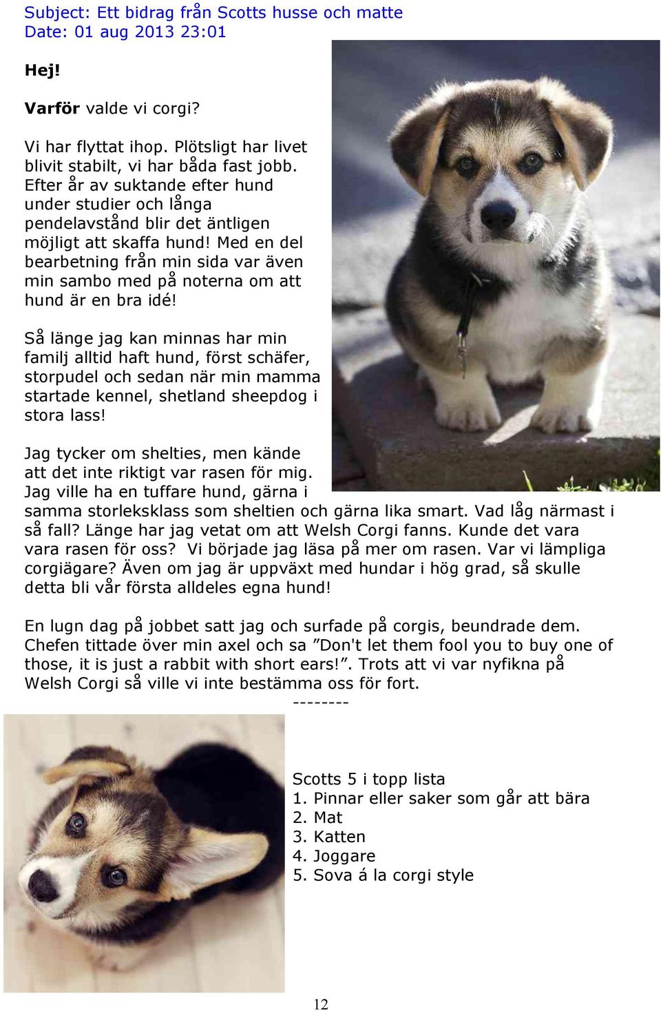 Dating min chefens bror