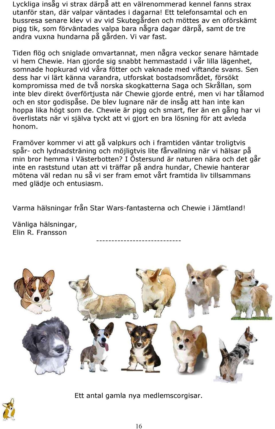 sovande hundar dating genom gång