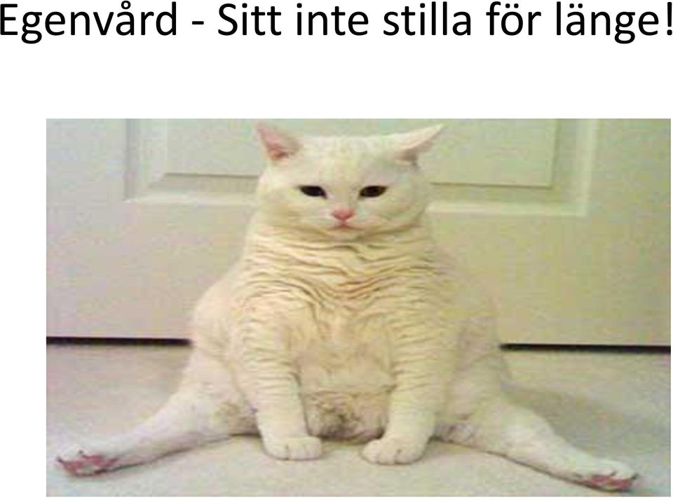 inte