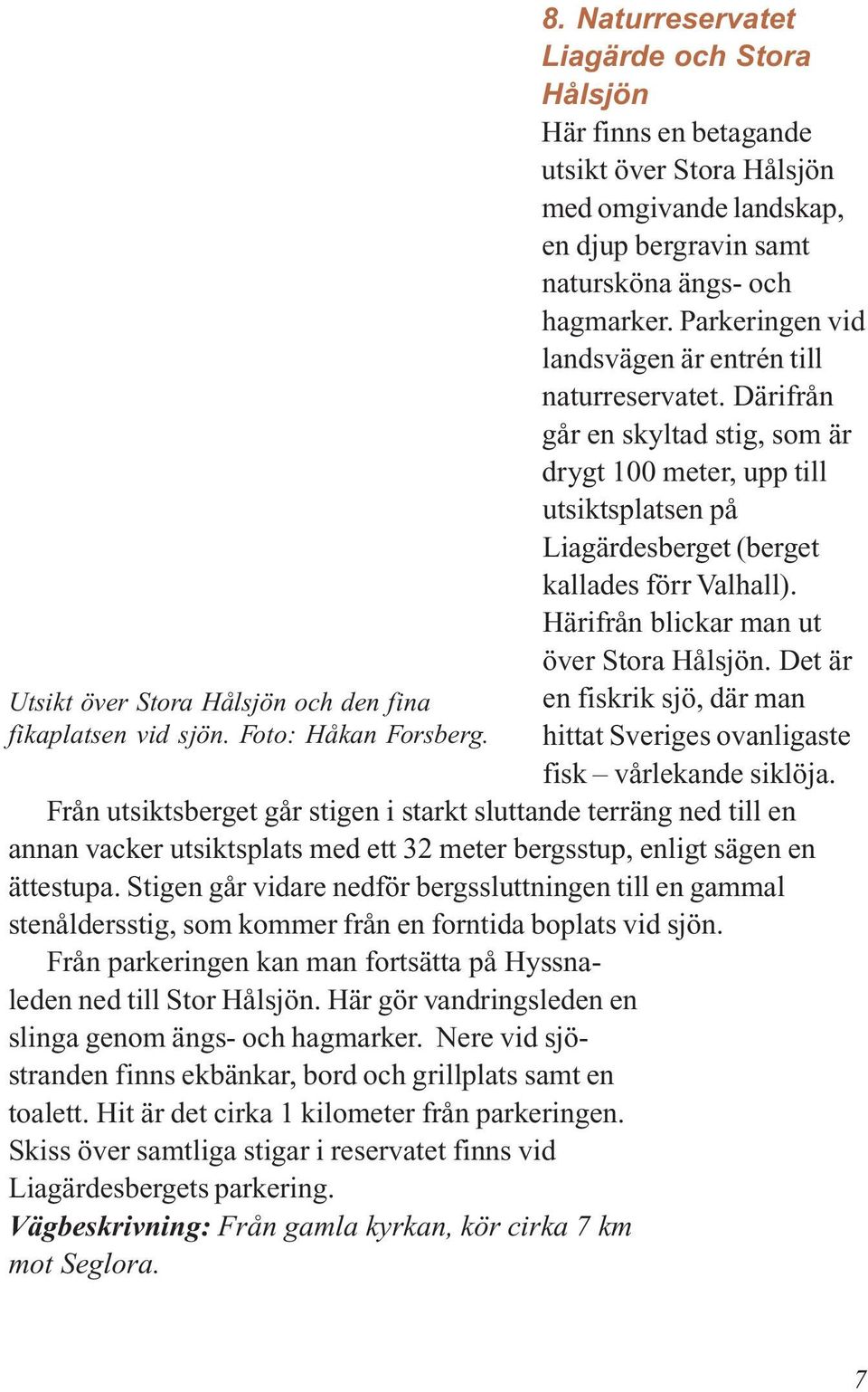 Härifrån blickar man ut över Stora Hålsjön. Det är Utsikt över Stora Hålsjön och den fina en fiskrik sjö, där man fikaplatsen vid sjön. Foto: Håkan Forsberg.