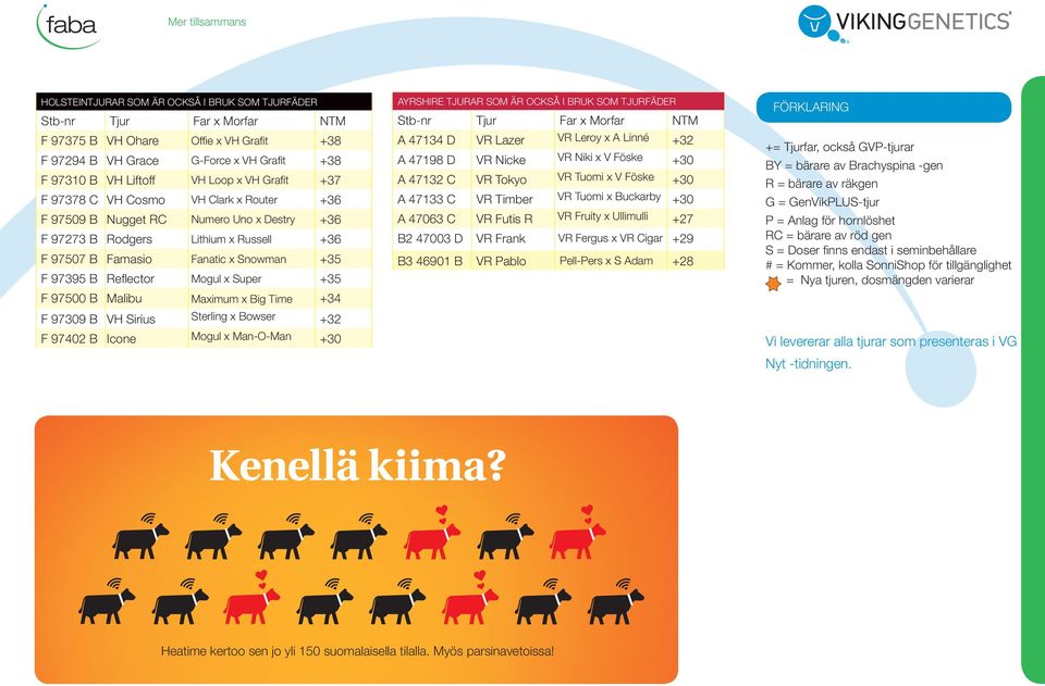 Reflector Mogul x Super +35 F 97500 B Malibu Maximum x Big Time +34 F 97309 B VH Sirius Sterling x Bowser +32 F 97402 B Icone Mogul x Man-O-Man +30 Ayrshire tjurar som är också i bruk som tjurfäder